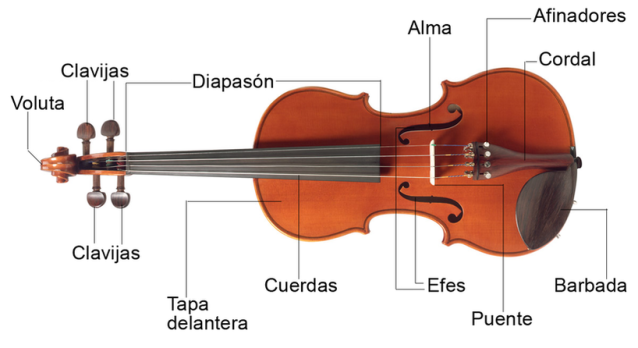 partes-del-violin-y-del-arco